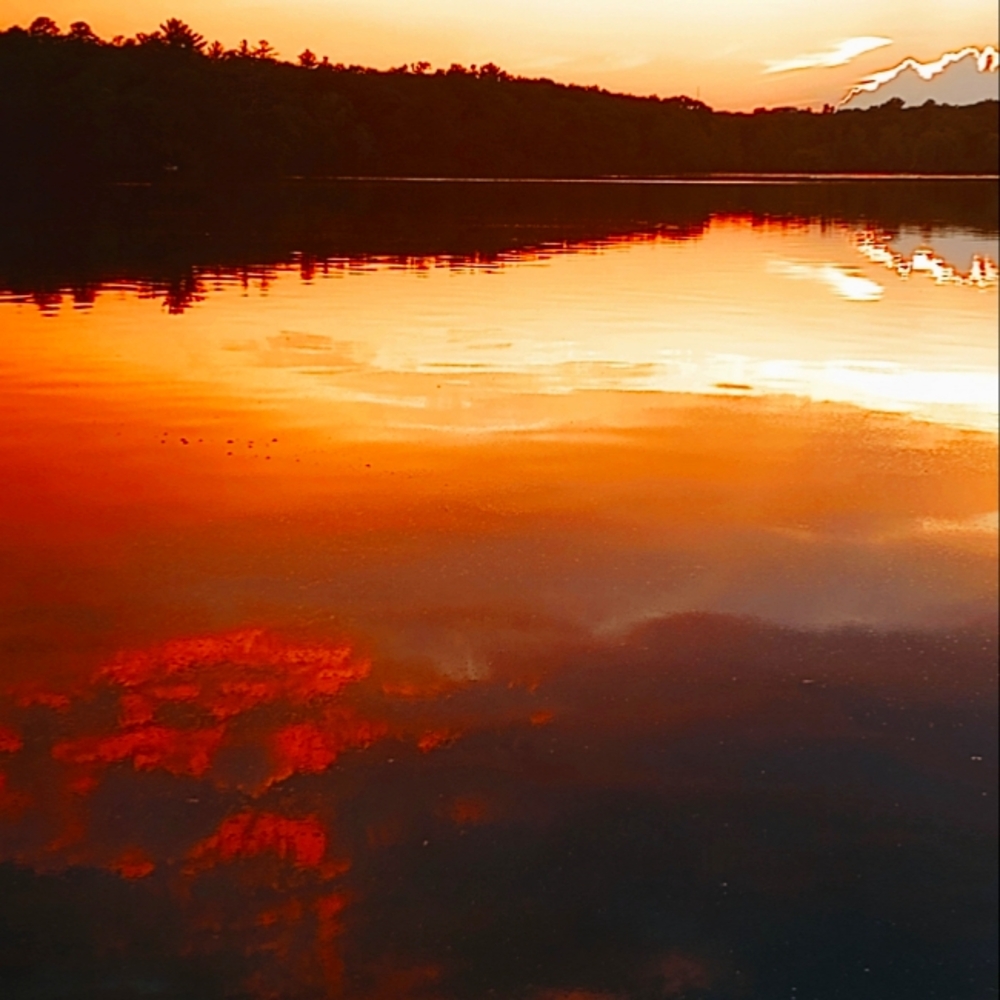 Meet your Posher, Lily